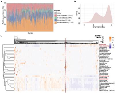 The microbiome types of colorectal tissue are potentially associated with the prognosis of patients with colorectal cancer